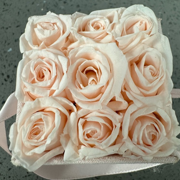 Venus et fluer le petit mini blush suede box blush roses new - Picture 2 of 5